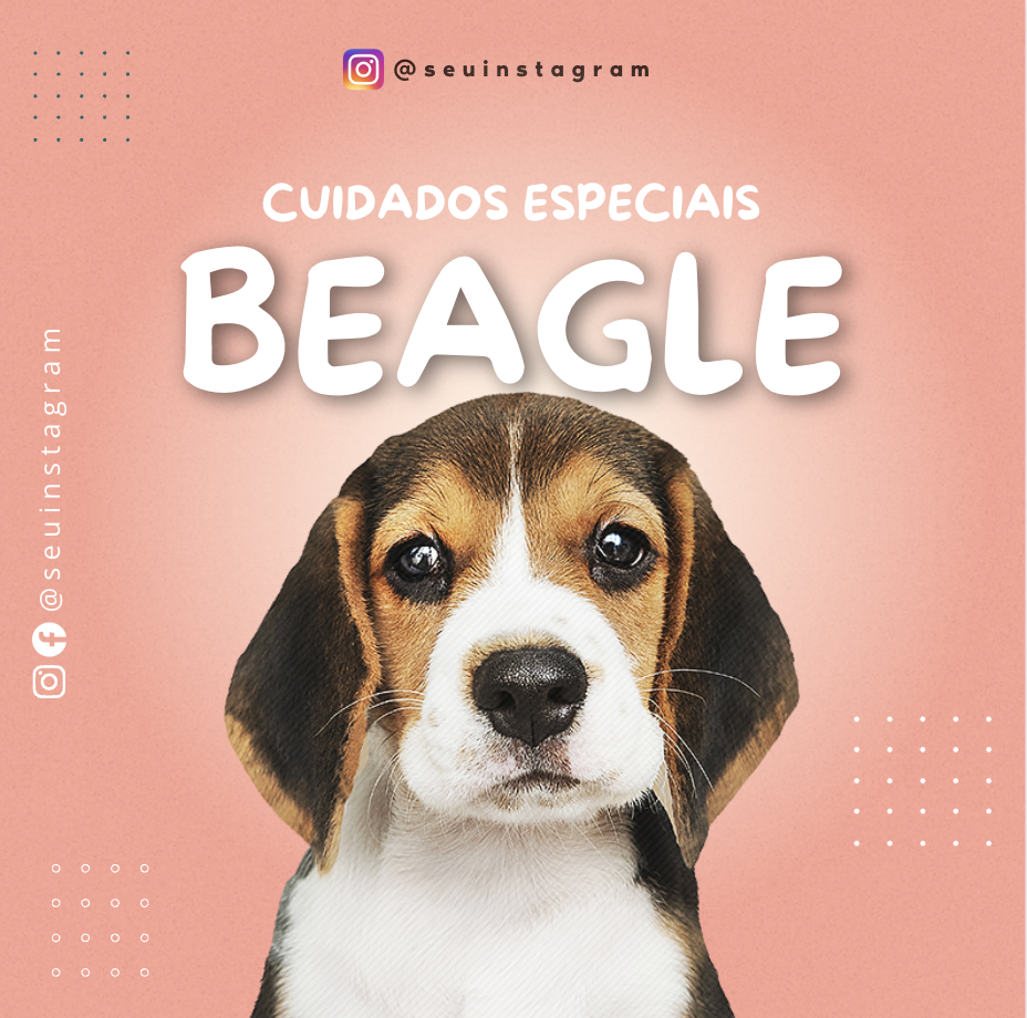 Template de post para Veterinária