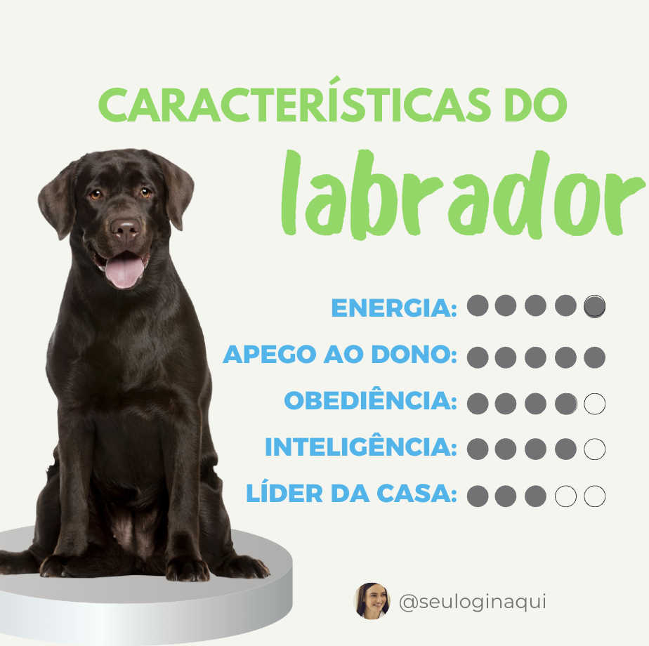 Template de post para Pet shop